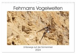 Fehmarn Vogelwelten (Wandkalender 2024 DIN A3 quer), CALVENDO Monatskalender - Ströder, Holger