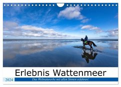 Erlebnis Wattenmeer (Wandkalender 2024 DIN A4 quer), CALVENDO Monatskalender
