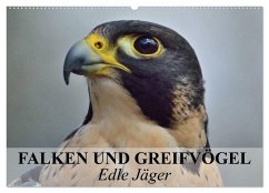 Falken und Greifvögel. Edle Jäger (Wandkalender 2024 DIN A2 quer), CALVENDO Monatskalender