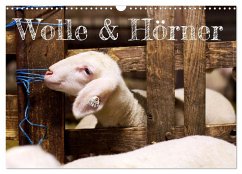 Wolle & Hörner (Wandkalender 2024 DIN A3 quer), CALVENDO Monatskalender - Krämer, Hannah