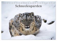 Schneeleoparden (Tischkalender 2024 DIN A5 quer), CALVENDO Monatskalender