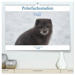 Polarfuchsstudien Wildlife (hochwertiger Premium Wandkalender 2024 DIN A2 quer), Kunstdruck in Hochglanz - Gerken, Klaus