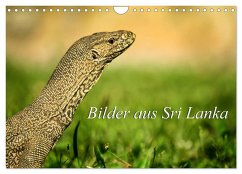Bilder aus Sri Lanka (Wandkalender 2024 DIN A4 quer), CALVENDO Monatskalender