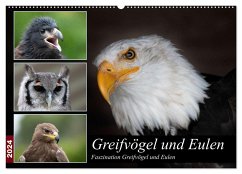 Greifvögel und Eulen (Wandkalender 2024 DIN A2 quer), CALVENDO Monatskalender
