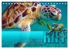 Abenteuer Riff - bunte Unterwasserwelt (Tischkalender 2024 DIN A5 quer), CALVENDO Monatskalender