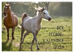 Pferdekalender (Wandkalender 2024 DIN A3 quer), CALVENDO Monatskalender