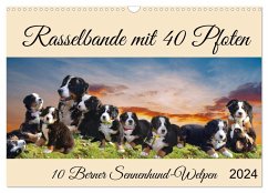 Rasselbande mit 40 Pfoten (Wandkalender 2024 DIN A3 quer), CALVENDO Monatskalender - Kleemann, Claudia