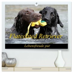 Flatcoated Retriever (hochwertiger Premium Wandkalender 2024 DIN A2 quer), Kunstdruck in Hochglanz