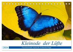 Kleinode der Lüfte - Faszinierende tropische Schmetterlinge (Tischkalender 2024 DIN A5 quer), CALVENDO Monatskalender