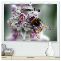 Hummelflug (hochwertiger Premium Wandkalender 2024 DIN A2 quer), Kunstdruck in Hochglanz