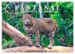 Pantanal: Faszinierende Tiere hautnah (Wandkalender 2024 DIN A3 quer), CALVENDO Monatskalender