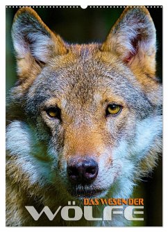 Das Wesen der Wölfe (Wandkalender 2024 DIN A2 hoch), CALVENDO Monatskalender