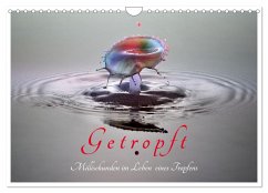 Getropft (Wandkalender 2024 DIN A4 quer), CALVENDO Monatskalender - Hennighaußen, Andreas