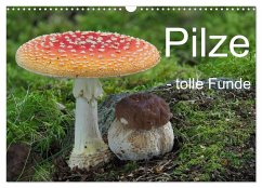 Pilze - tolle Funde (Wandkalender 2024 DIN A3 quer), CALVENDO Monatskalender