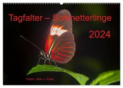 Tagfalter Schmetterlinge (Wandkalender 2024 DIN A2 quer), CALVENDO Monatskalender