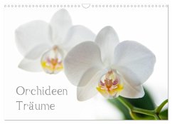 Orchideen Träume (Wandkalender 2024 DIN A3 quer), CALVENDO Monatskalender - cmarits, hannes