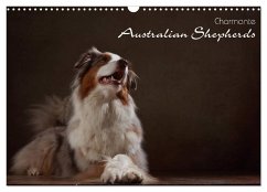 Charmante Australian Shepherds (Wandkalender 2024 DIN A3 quer), CALVENDO Monatskalender - Behr, Jana