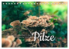 Ein Ausflug in die magische Welt der Pilze (Tischkalender 2024 DIN A5 quer), CALVENDO Monatskalender