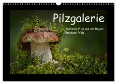 Pilzgalerie - Heimische Pilze aus der Region Rheinland-Pfalz (Wandkalender 2024 DIN A3 quer), CALVENDO Monatskalender - Wurster, Beate