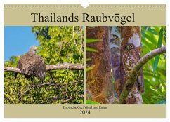 THAILANDS RAUBVÖGEL Exotische Greifvögel und Eulen (Wandkalender 2024 DIN A3 quer), CALVENDO Monatskalender