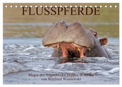 Flusspferde Magie des Augenblicks - Hippos in Afrika (Tischkalender 2024 DIN A5 quer), CALVENDO Monatskalender - Wisniewski, Winfried