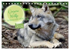 Unsere Wölfe - Ein Wildtier kehrt zurück (Tischkalender 2024 DIN A5 quer), CALVENDO Monatskalender - Rohde, Angela
