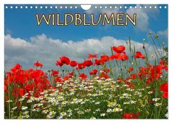 Wildblumen 2024 (Wandkalender 2024 DIN A4 quer), CALVENDO Monatskalender - Geduldig, Bildagentur