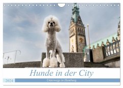 Hunde in der City - Unterwegs in Hamburg (Wandkalender 2024 DIN A4 quer), CALVENDO Monatskalender