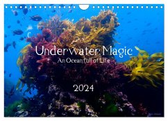 Underwater Magic (Wandkalender 2024 DIN A4 quer), CALVENDO Monatskalender