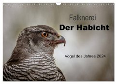 Falknerei Der Habicht (Wandkalender 2024 DIN A3 quer), CALVENDO Monatskalender - Brandt, Tanja