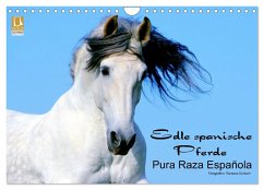 Edle spanische Pferde - Pura Raza Espanola (Wandkalender 2024 DIN A4 quer), CALVENDO Monatskalender