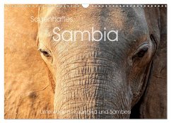 Sagenhaftes Sambia - Unterwegs an Luangwa und Sambesi (Wandkalender 2024 DIN A3 quer), CALVENDO Monatskalender - Leithold, Markus