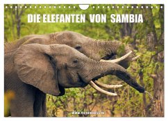 Die Elefanten von Sambia (Wandkalender 2024 DIN A4 quer), CALVENDO Monatskalender