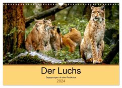 Der Luchs - Begegnungen mit einer Raubkatze (Wandkalender 2024 DIN A3 quer), CALVENDO Monatskalender