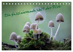 Die faszinierende Welt der Pilze (Tischkalender 2024 DIN A5 quer), CALVENDO Monatskalender - Th_t Qu_nh L_i, Tôn
