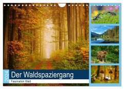Der Waldspaziergang (Wandkalender 2024 DIN A4 quer), CALVENDO Monatskalender