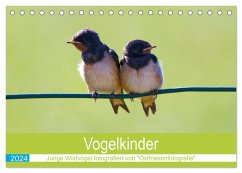 Vogelkinder - Junge Wildvögel (Tischkalender 2024 DIN A5 quer), CALVENDO Monatskalender - Betten - Ostfriesenfotografie, Christina
