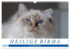 Heilige Birma Katzenkalender (Wandkalender 2024 DIN A3 quer), CALVENDO Monatskalender