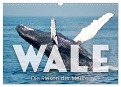 Wale - Die Riesen der Meere. (Wandkalender 2024 DIN A3 quer), CALVENDO Monatskalender