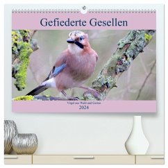 Gefiederte Gesellen - Vögel aus Wald und Garten (hochwertiger Premium Wandkalender 2024 DIN A2 quer), Kunstdruck in Hochglanz - Klatt, Arno