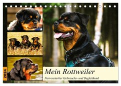 Mein Rottweiler. Nervenstarker Gebrauchs- und Begleithund (Tischkalender 2024 DIN A5 quer), CALVENDO Monatskalender - Hurley, Rose