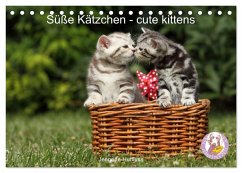 Süße Kätzchen - cute kittens (Tischkalender 2024 DIN A5 quer), CALVENDO Monatskalender