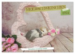 MEERSCHWEINCHEN verzaubern uns immer wieder (Wandkalender 2024 DIN A2 quer), CALVENDO Monatskalender