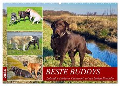 Beste Buddys (Wandkalender 2024 DIN A2 quer), CALVENDO Monatskalender - Kleemann, Claudia