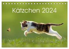Kätzchen 2024 (Tischkalender 2024 DIN A5 quer), CALVENDO Monatskalender