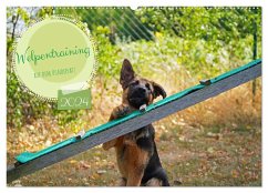 Welpentraining auf dem Hundeplatz (Wandkalender 2024 DIN A2 quer), CALVENDO Monatskalender