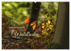 Lebensraum Waldboden (Wandkalender 2024 DIN A2 quer), CALVENDO Monatskalender