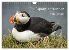 Die Papageientaucher von Island (Wandkalender 2024 DIN A4 quer), CALVENDO Monatskalender
