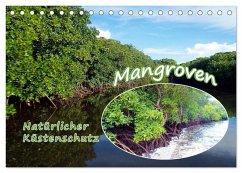 Mangroven - Natürlicher Küstenschutz (Tischkalender 2024 DIN A5 quer), CALVENDO Monatskalender