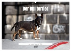 Der Bullterrier der beste Hund der Welt (Wandkalender 2024 DIN A2 quer), CALVENDO Monatskalender